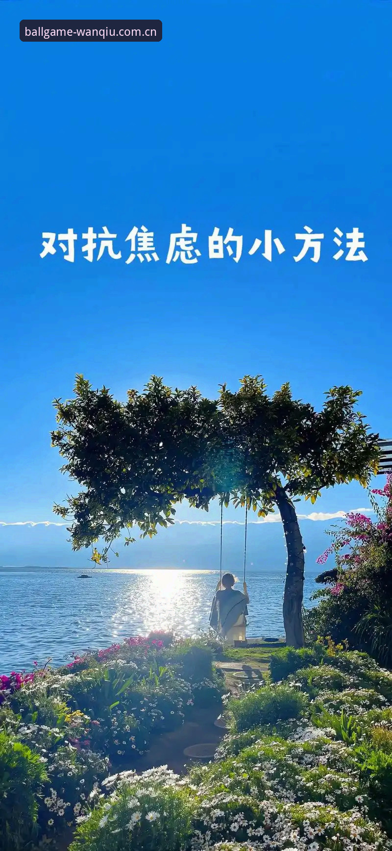 玩球体育平台新版入口操作教程：从数据焦虑到实时掌控的升级路径
